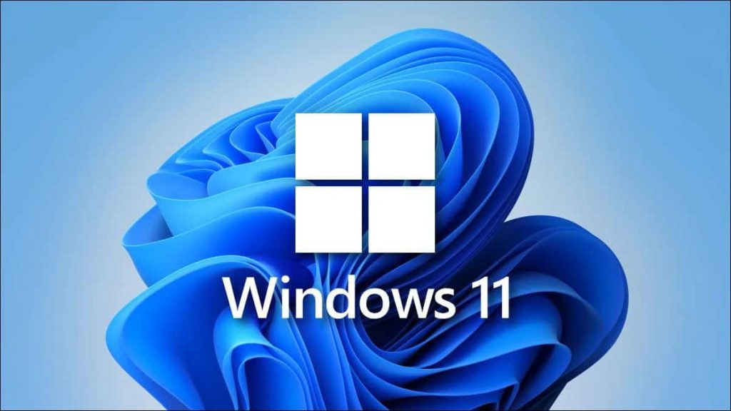 Windows 11 Pro