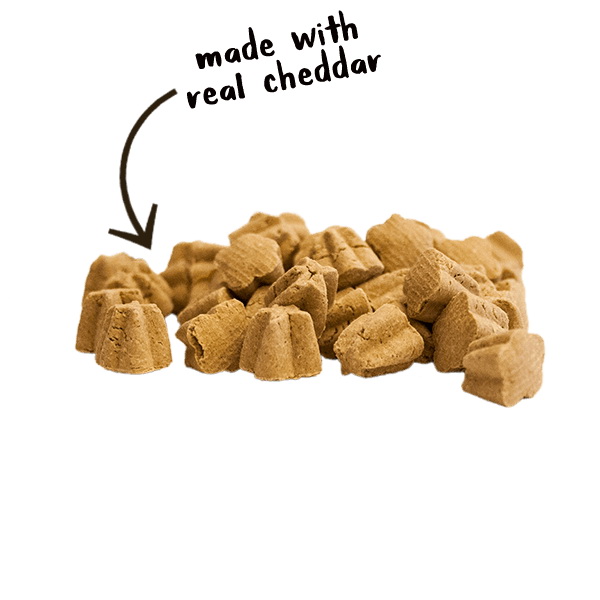 Dog Treats