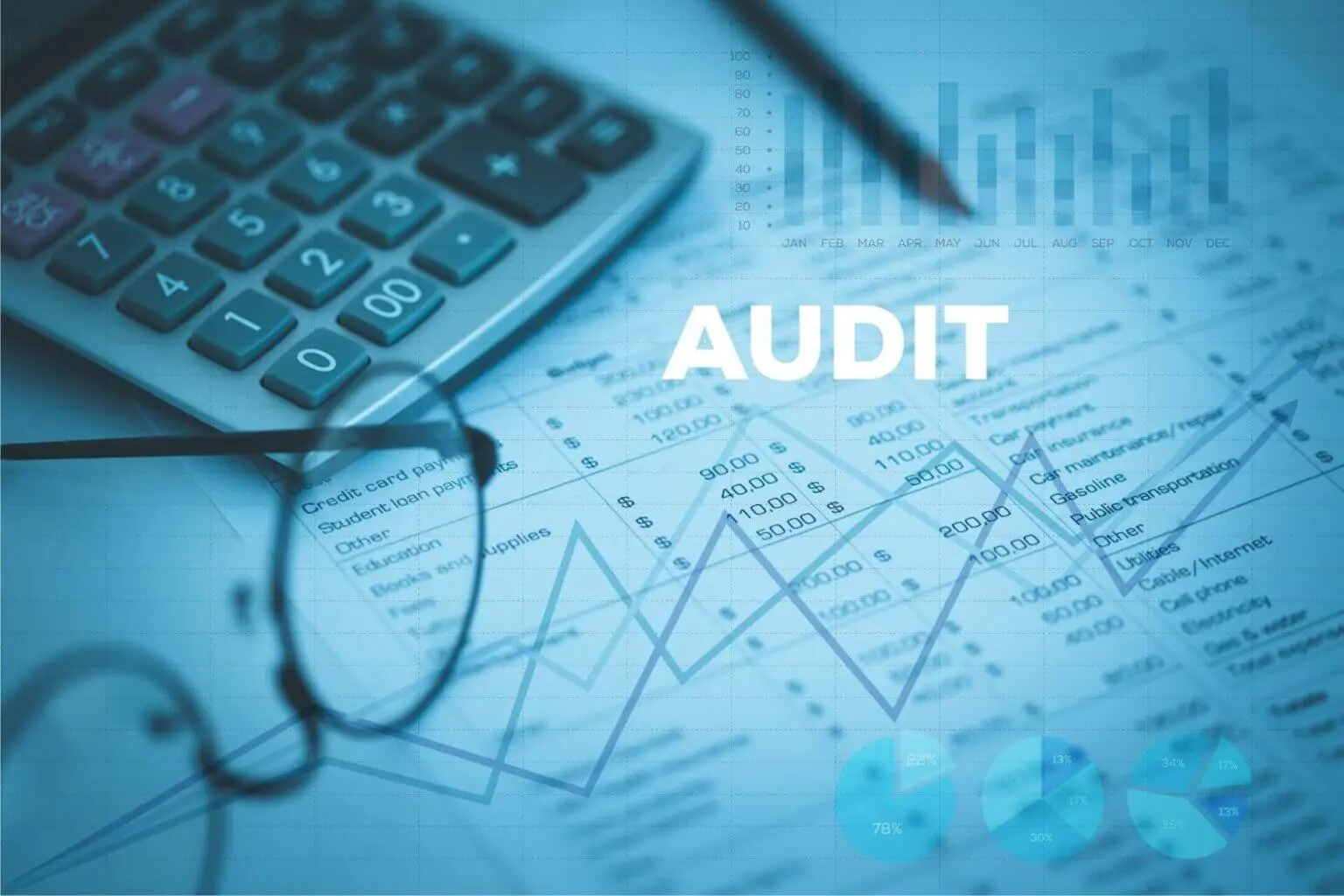 Audit Firms