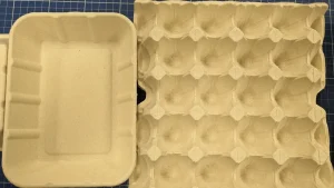 paper pulp packaging